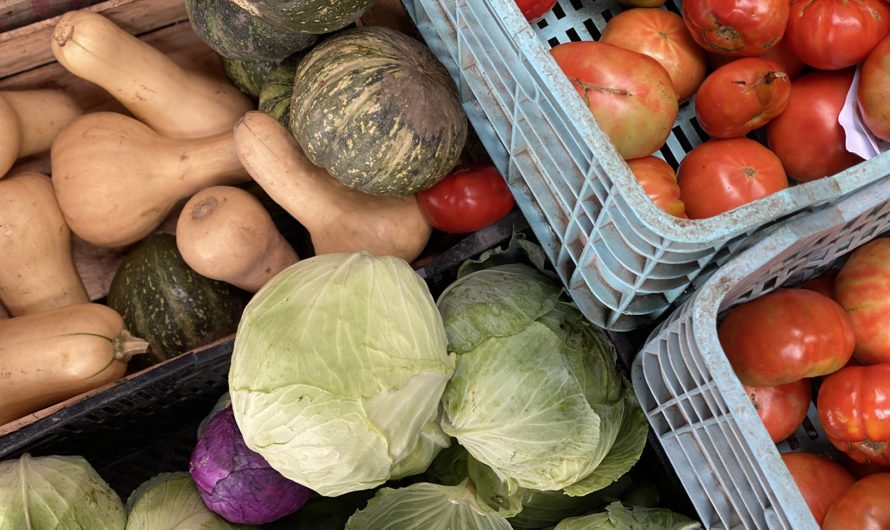 Delivery de frutas, verduras y productos orgánicos