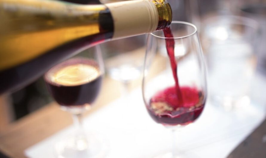 Día del Pinot Noir: la cepa que produce vinos de color rubí claro
