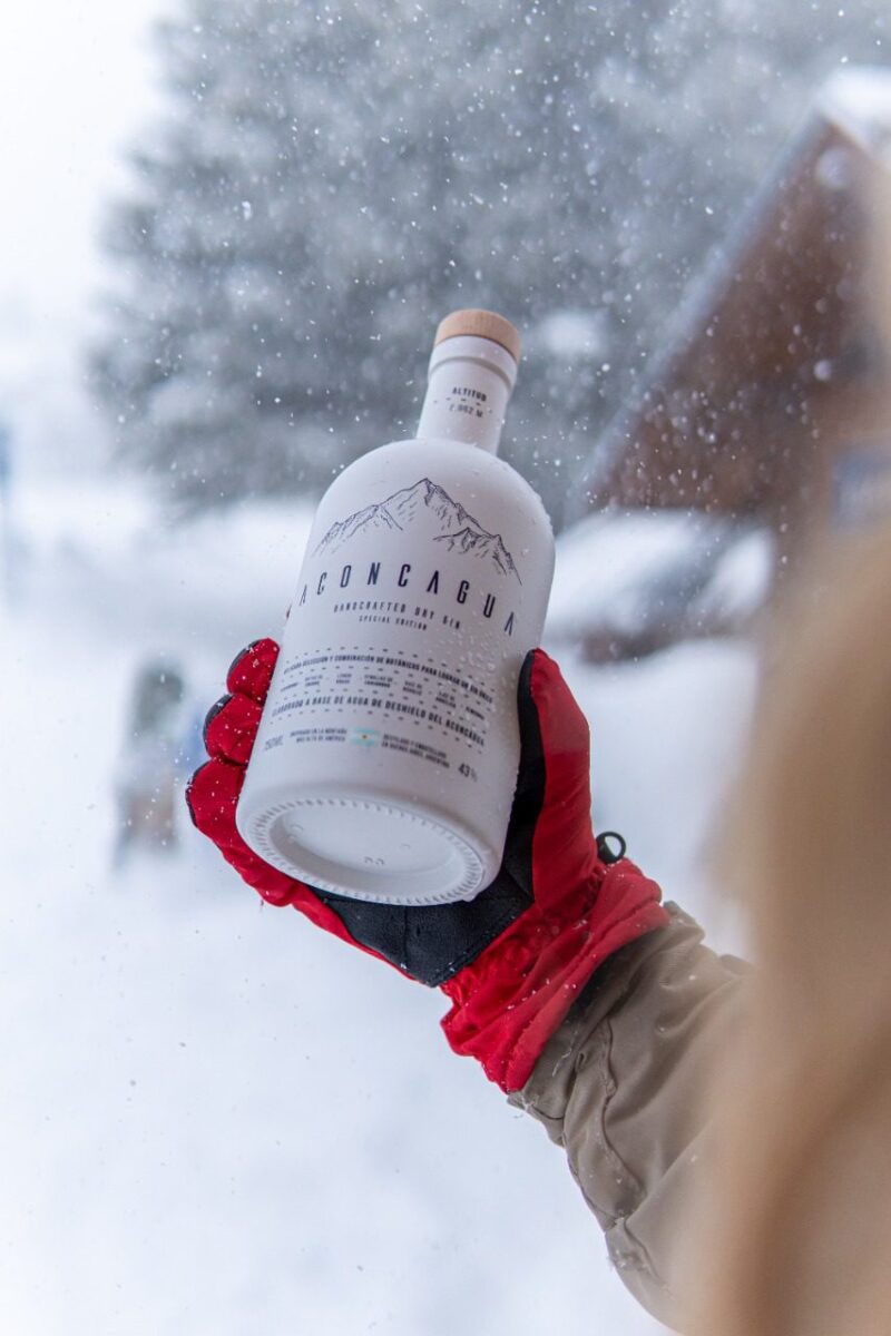 Aconcagua, un gin nacional con calidad de exportación