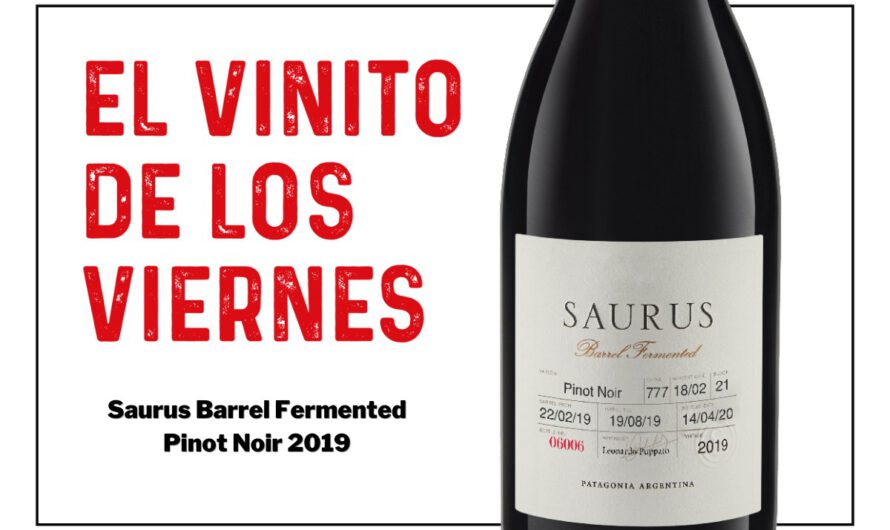 El vinito de los viernes: Saurus Barrel Fermented Pinot Noir 2019