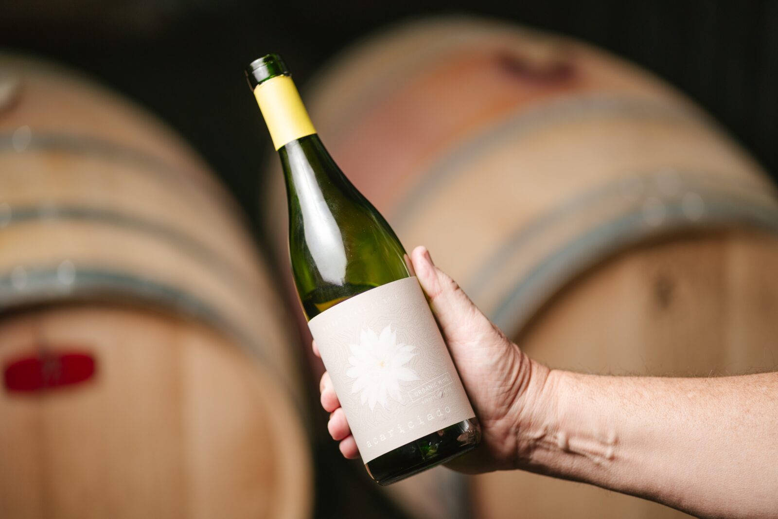 Malbecino Acariciado: el disruptivo blanco de Malbec de Familia Salas