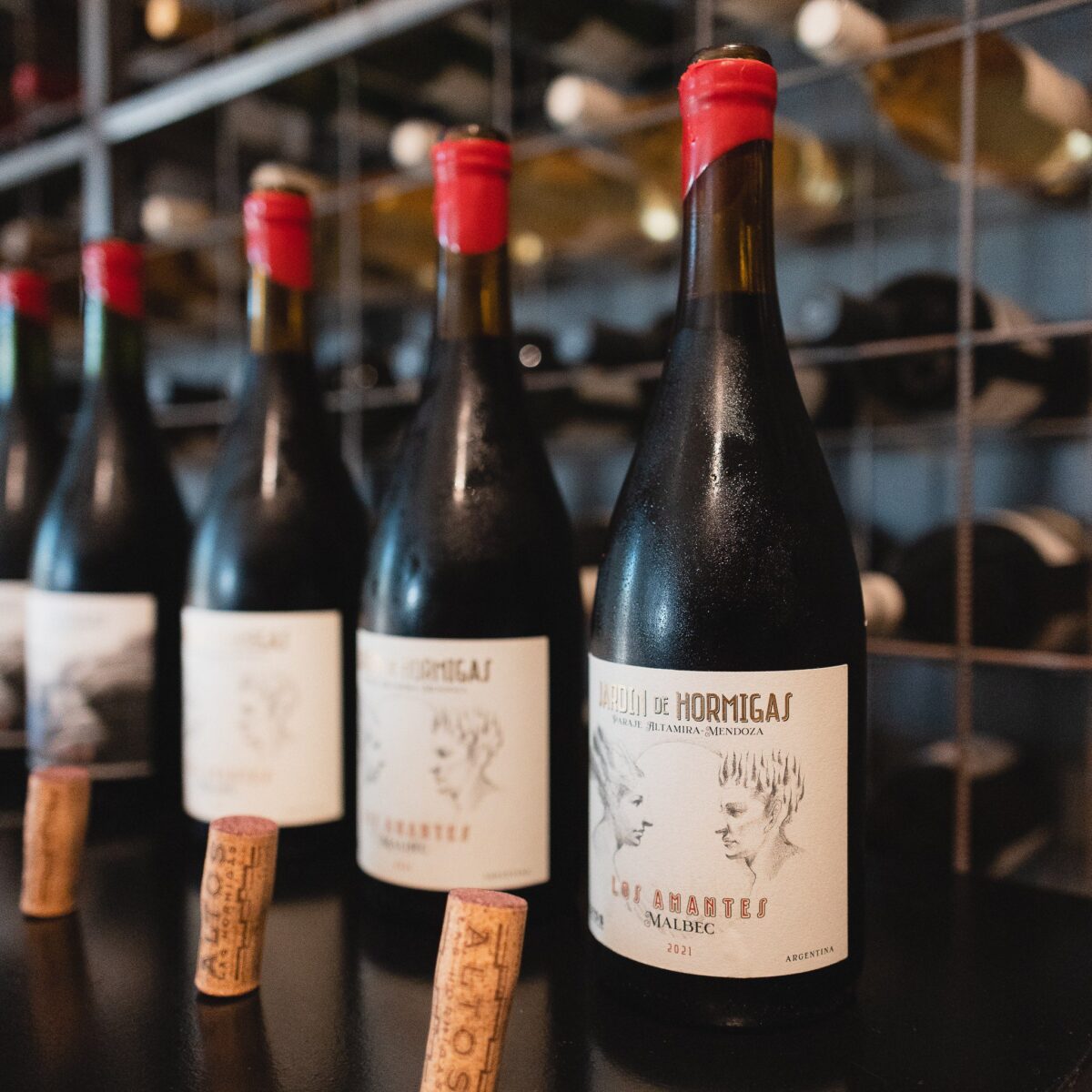 Altos Las Hormigas. 100 puntos para un Malbec que revoluciona el mercado del vino en Argentina