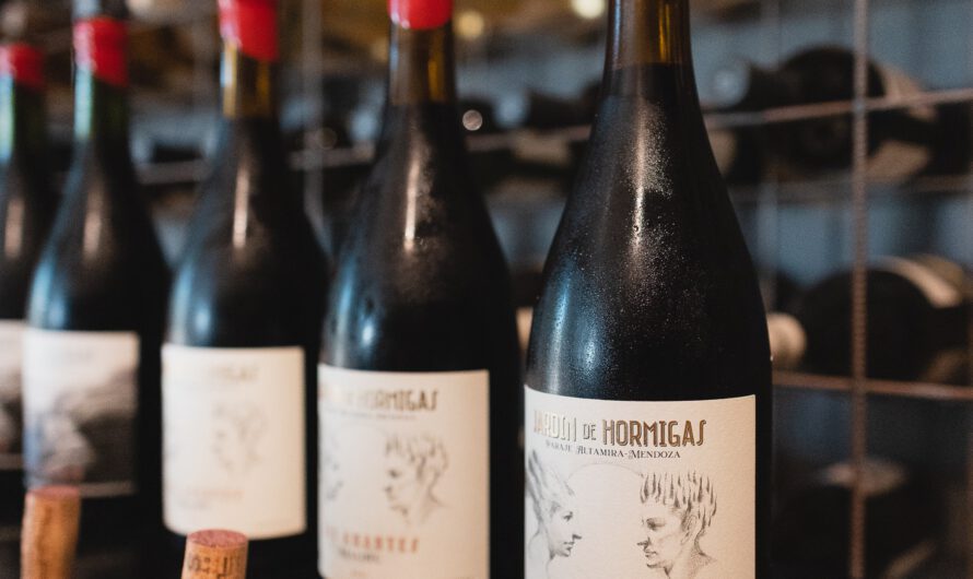 Altos Las Hormigas. 100 puntos para un Malbec que revoluciona el mercado del vino en Argentina