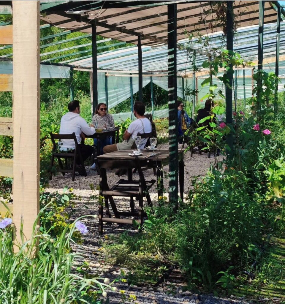 Comer entre plantas: la naturaleza gana espacio en la gastronomía local