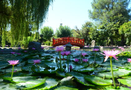 8.1. Jardín Japones Escobar