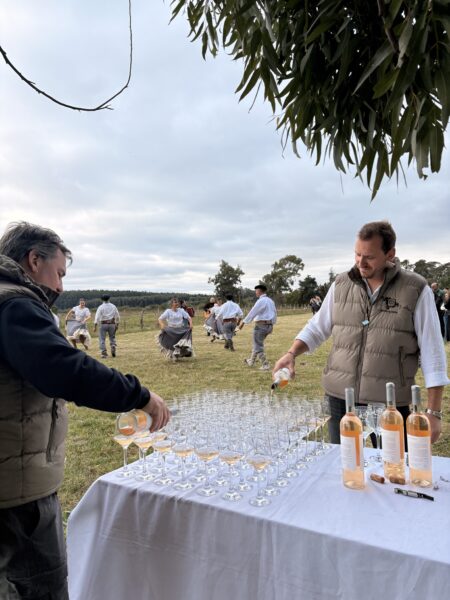 El renacer del vino entrerriano: dos bodegas familiares que rescatan una historia centenaria