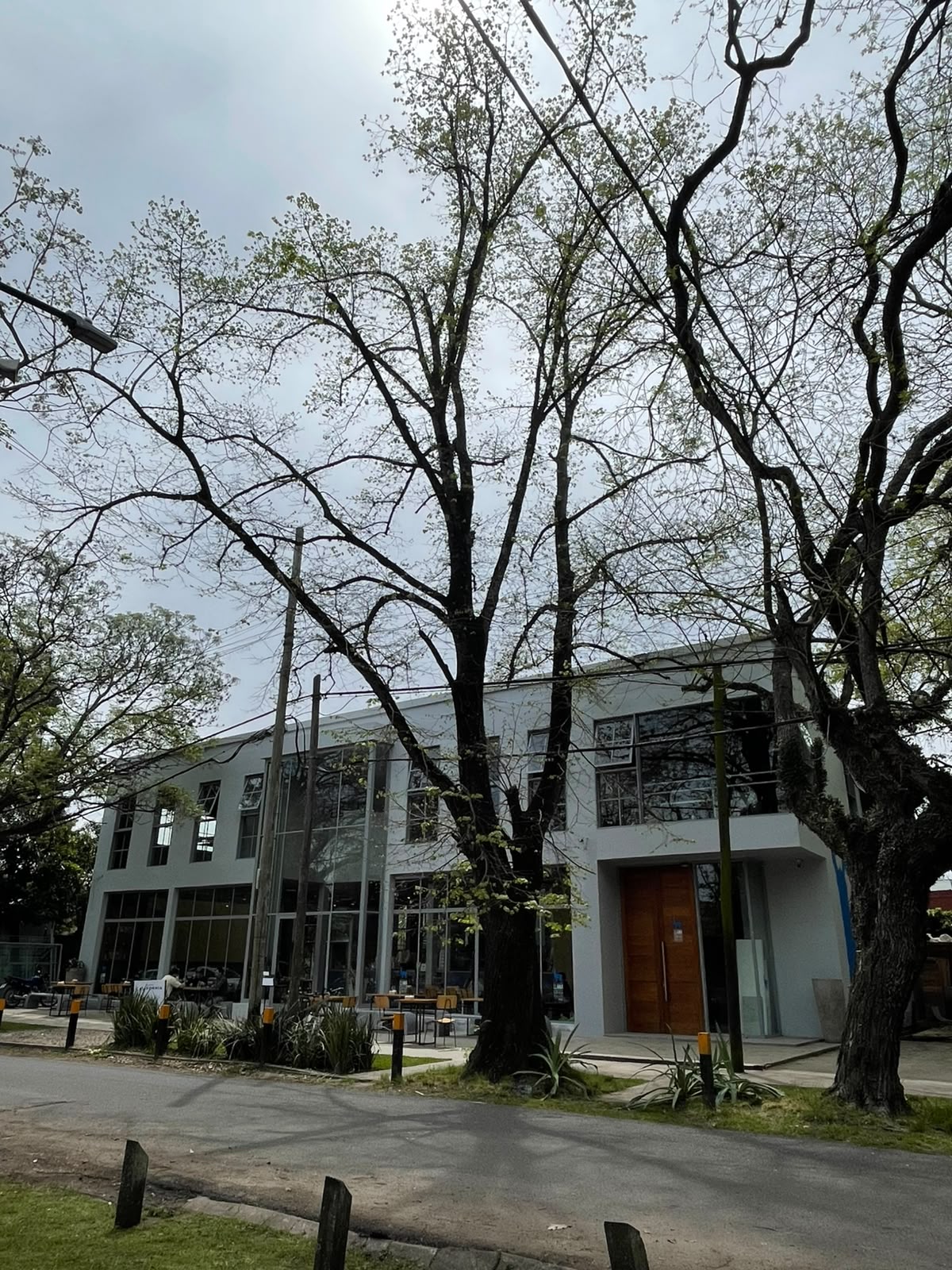 Llama estrenó nueva casa en City Bell: café de especialidad, tostado propio y mucho más espacio